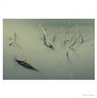 dailyPhoto35